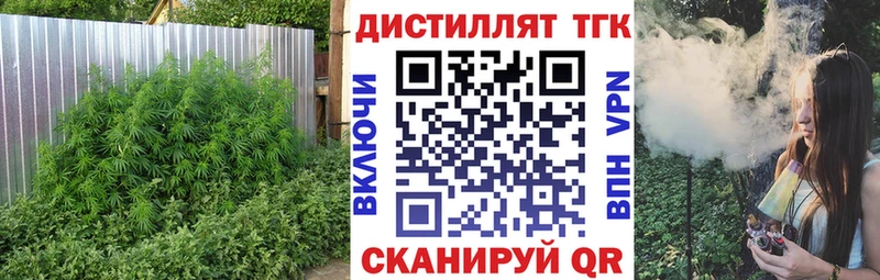 ТГК гашишное масло  Купить закладки  Камышин 