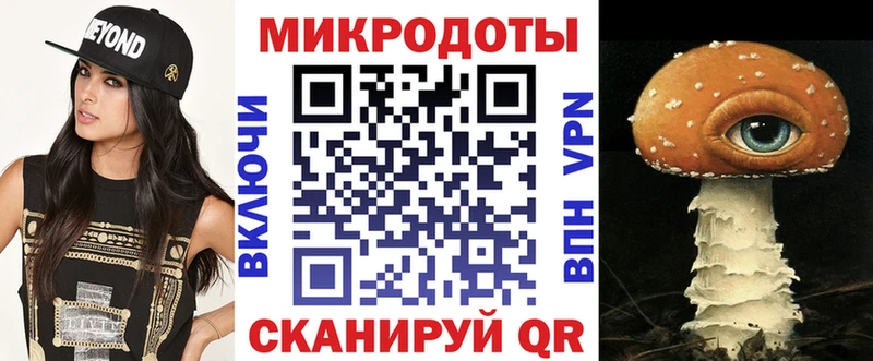 Купить закладки Камышин Псилоцибиновые грибы прущие грибы